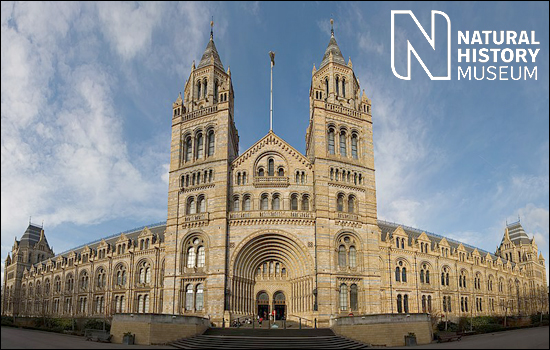 Natural History Museum